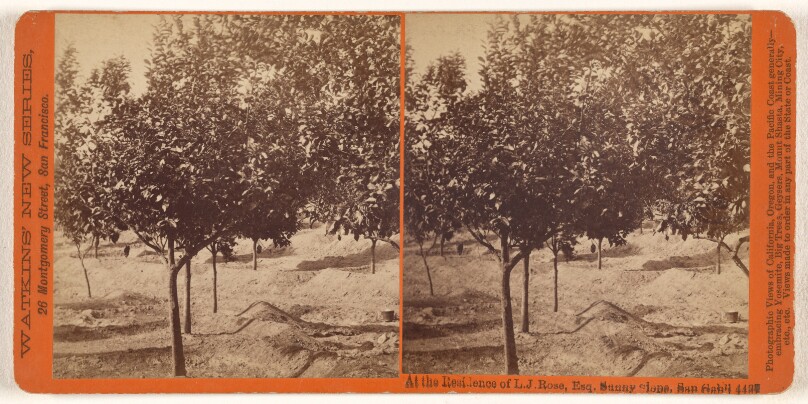 At the Residence of L.J. Rose, Esq. Sunny slope, San Gab'l