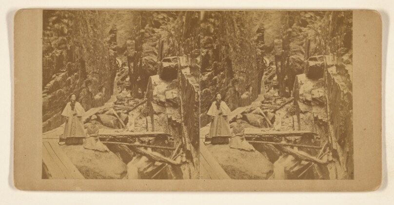Flume No. 316. 1877.