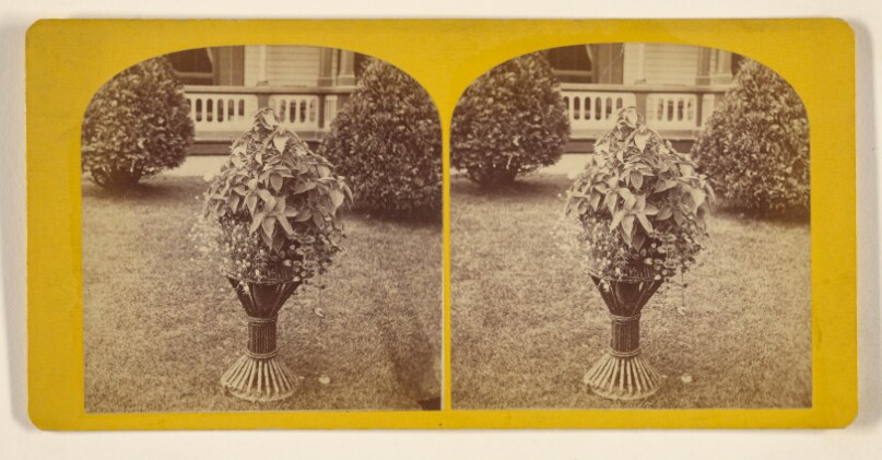 [Garden Ornament]