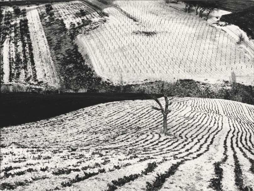 Metamorfosi della terra
