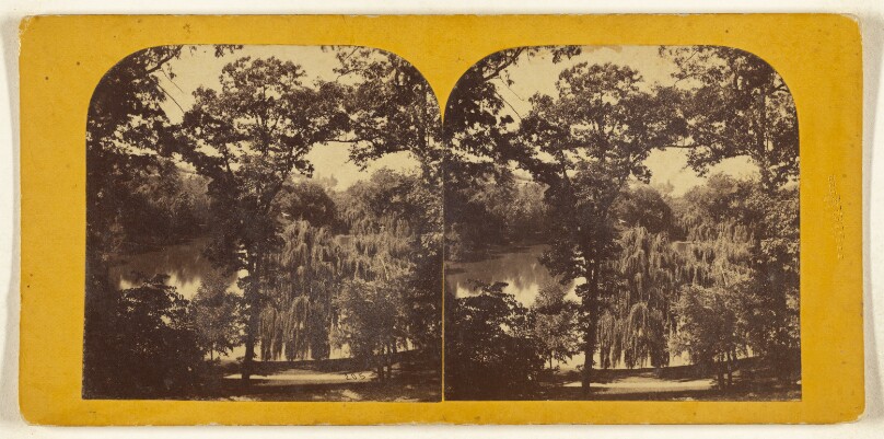 [Sylvan Lake, Greenwood Cemetery]