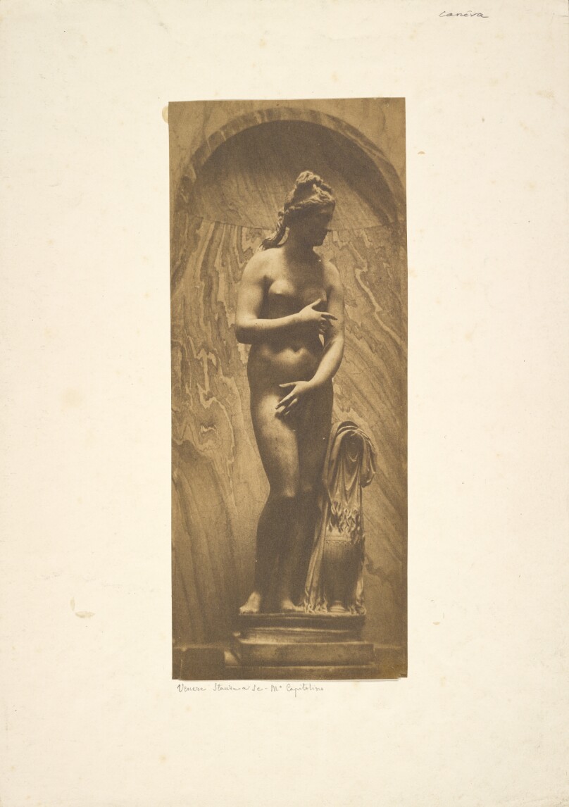 [Capitoline Venus]