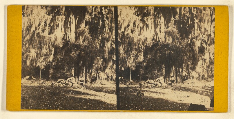 [Bosque de Chapultepec]