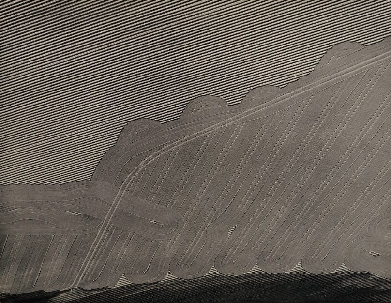 Plowed Field, Orange County, California