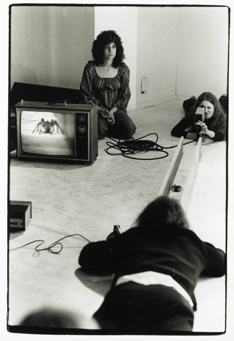 Dennis Oppenheim Faces Tarantula