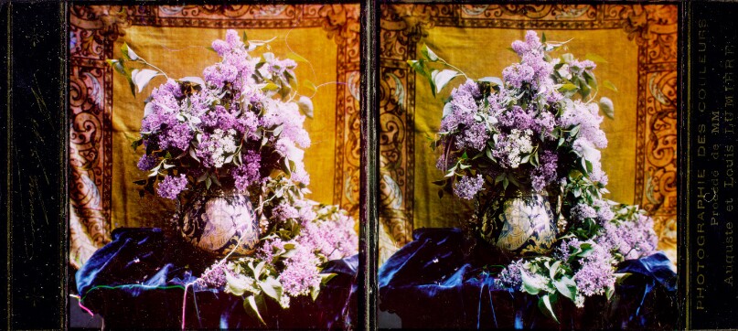 [Lilacs]