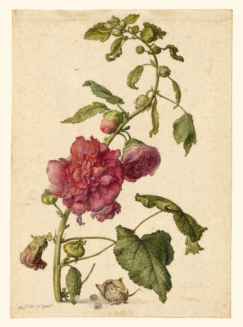 Herman Saftleven
