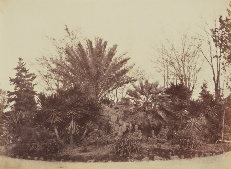 Garden on Monte Pincio, Rome