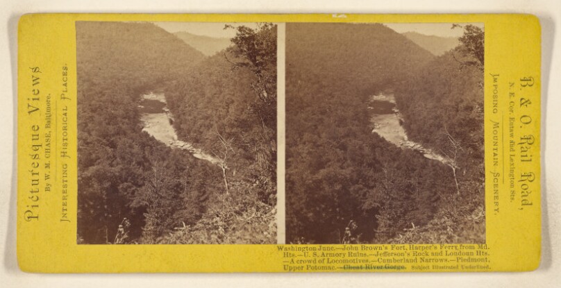 Cheat River Gorge.