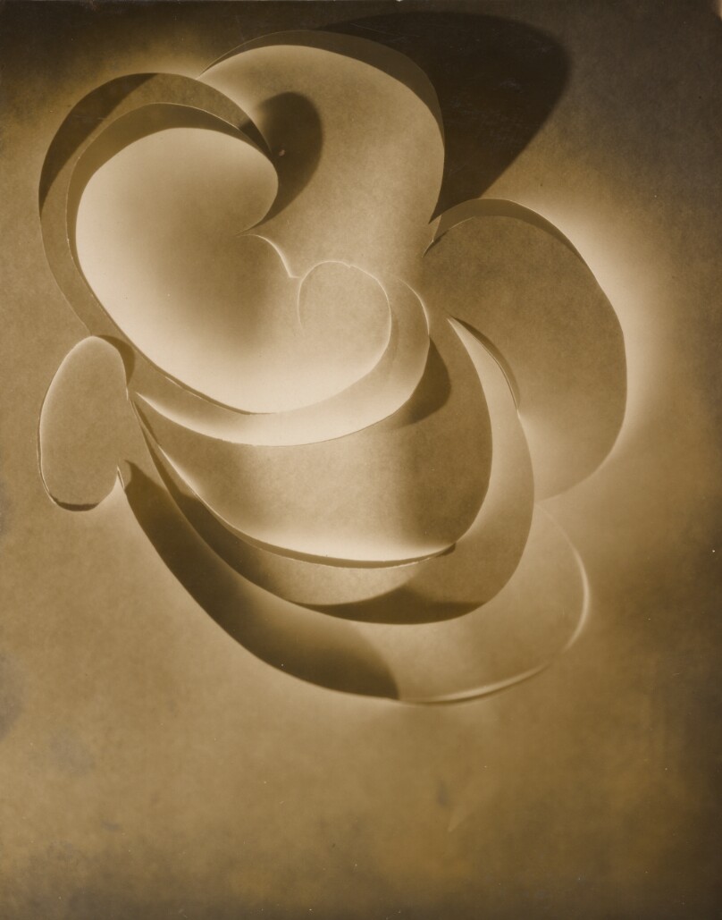 [Cut-paper Abstraction]