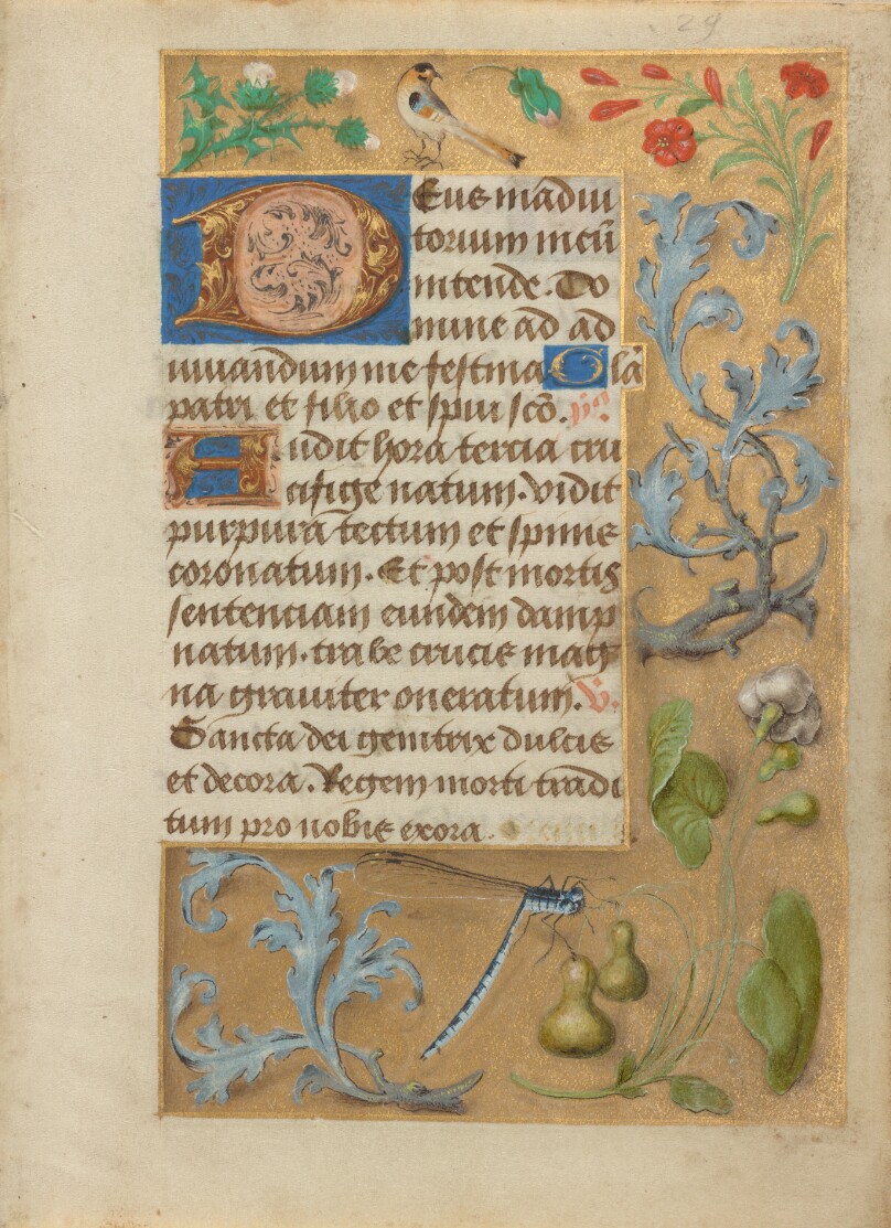 Leaf from a Book of Hours