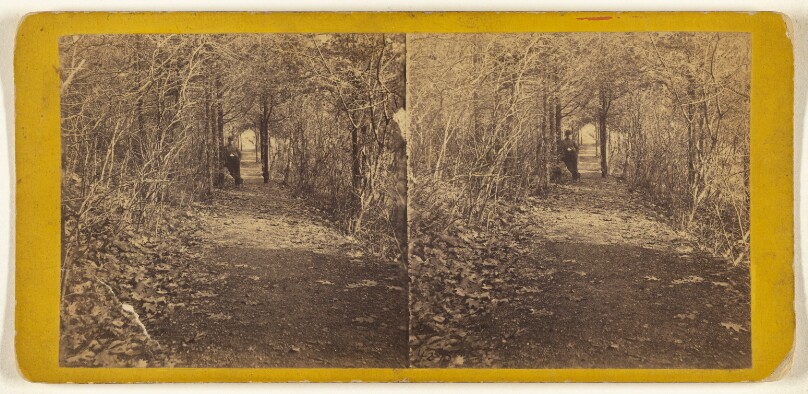 Flirtation Walk.