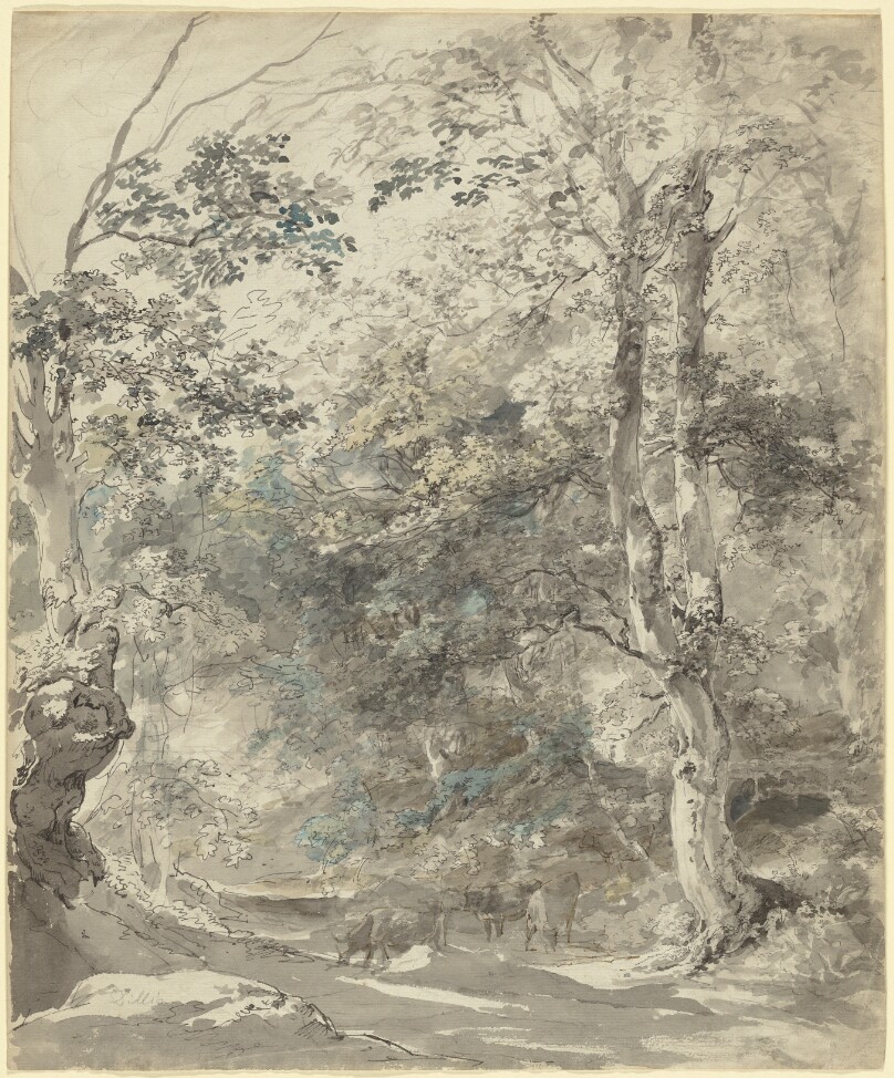 Wooded Landscape with Cows