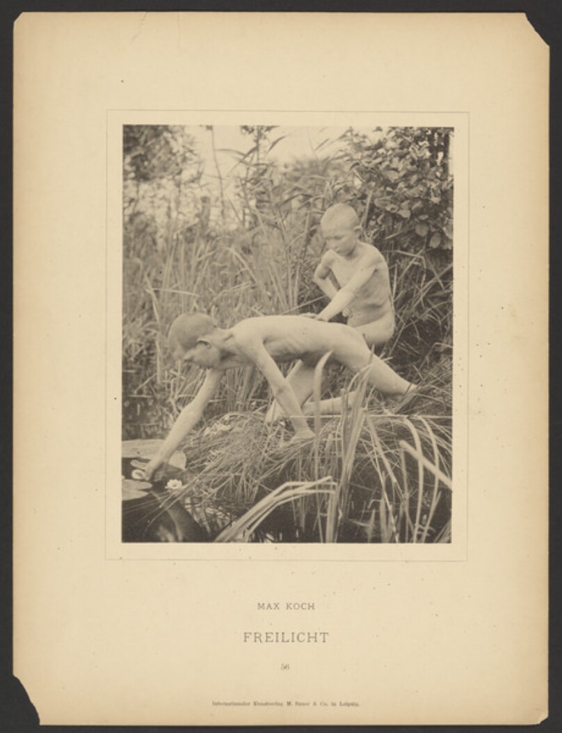 [Plate 56]