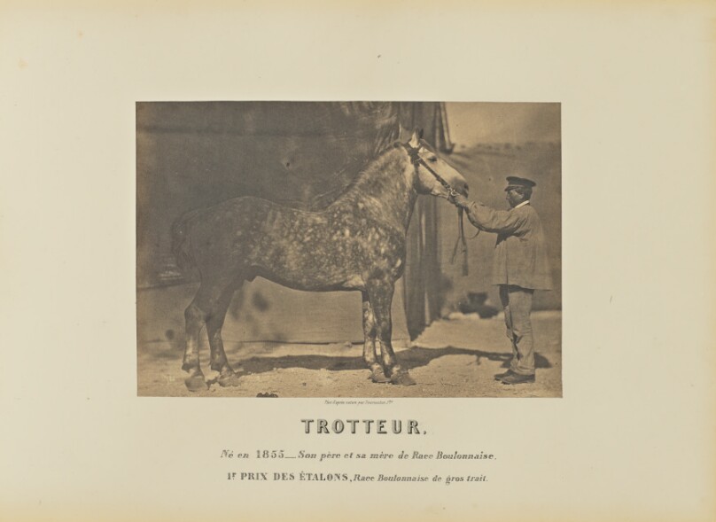 Trotteur