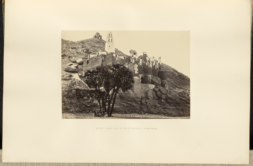 Doum Palm and Ruined Mosque, near Philae