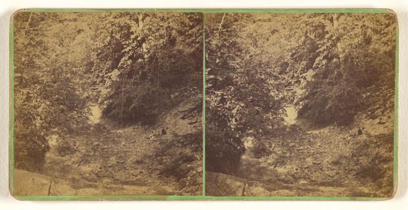 Looking down the Gulf at Upper Falls. [Ensenore Glen, N.Y.]