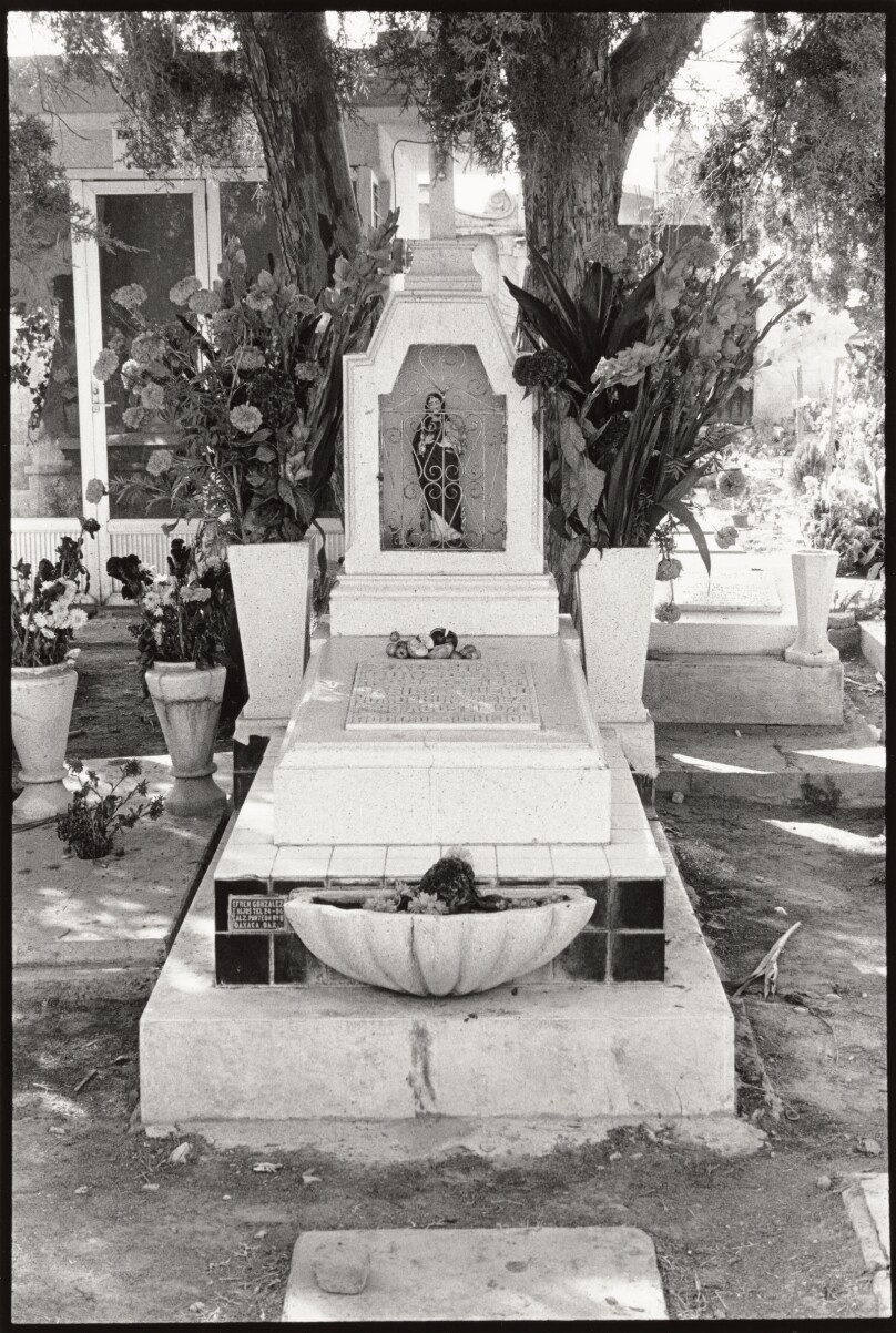 Oaxaca, Mexico #12