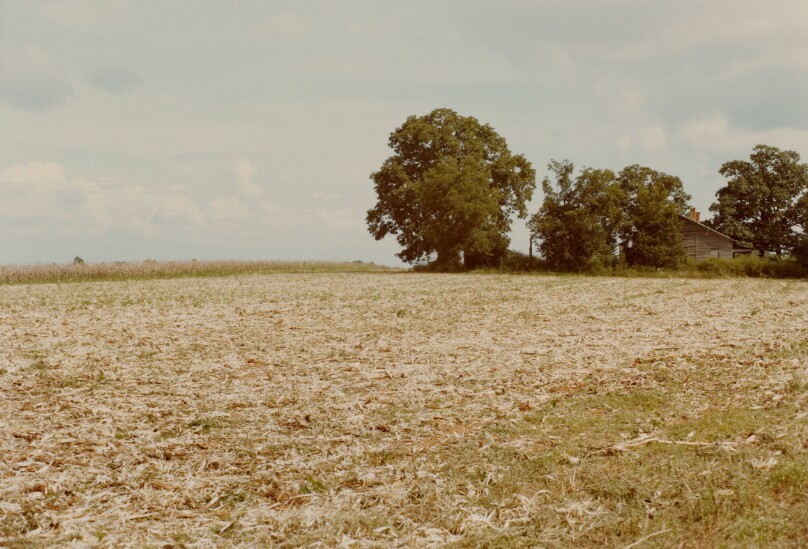 Between Plains and Friendship