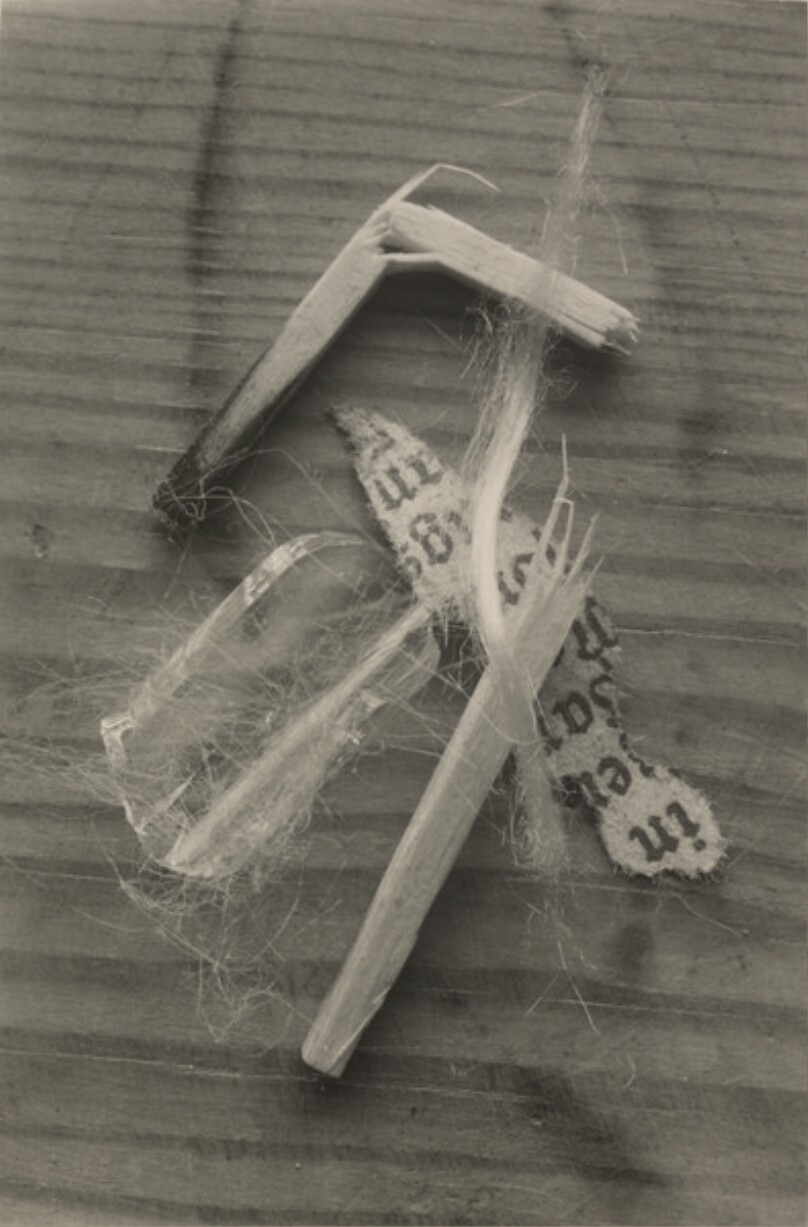 [Still Life]