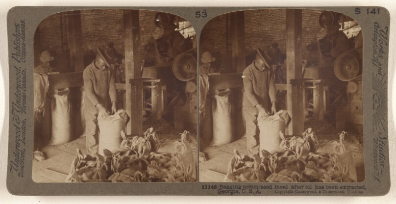 Bagging cotton-seed meal after oil has been extracted, Georgia, U.S.A.