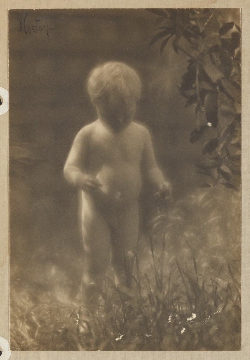 [Brett Weston, nude, standing in field, branches at upper right]