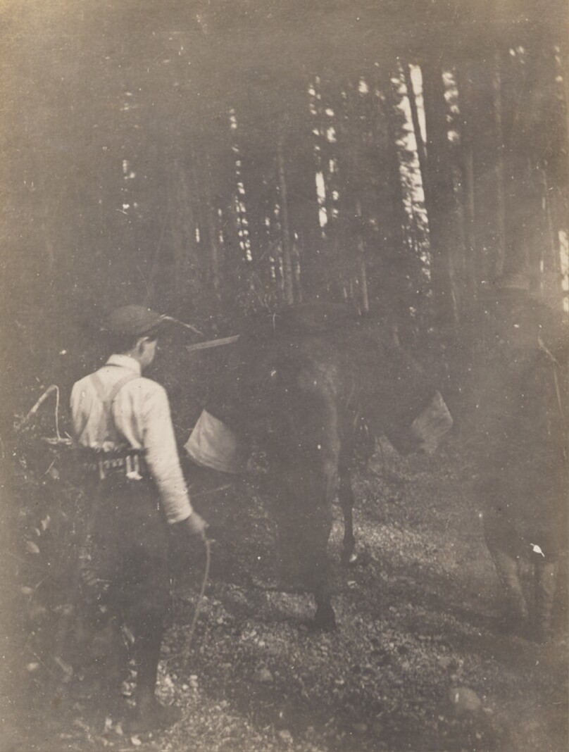 People in Woods