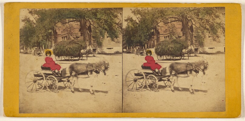 [Woman in donkey-drawn carriage, hay wagon in background]