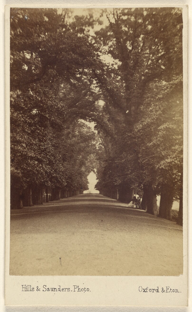 Ch:ch Long Walk