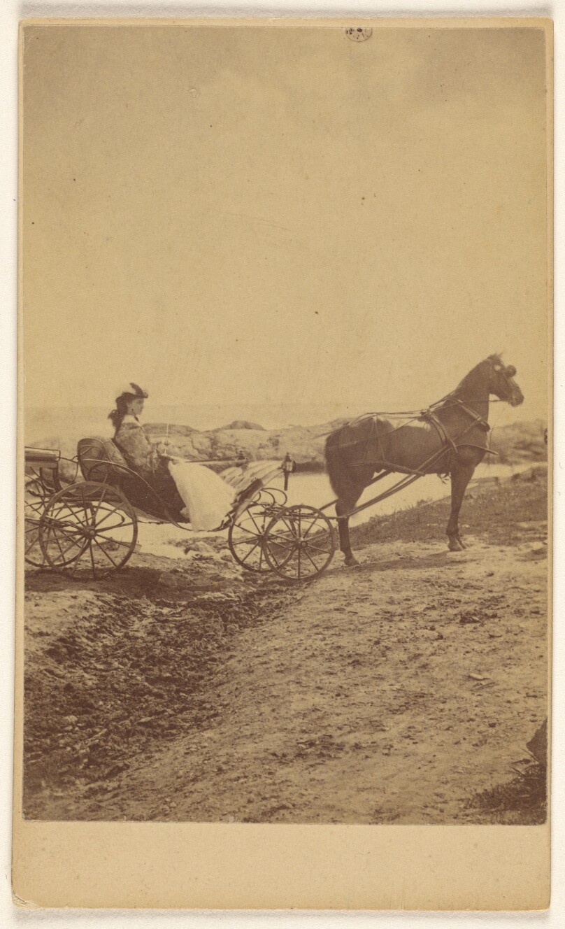 [Unidentified woman seated in a horse-drawn carriage]