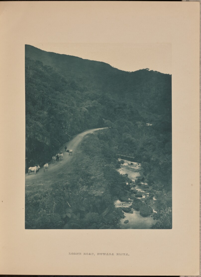[Lorne Road]