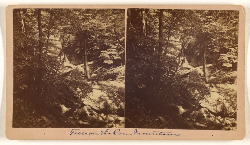 [Falls on Roan Mountain, North Carolina]