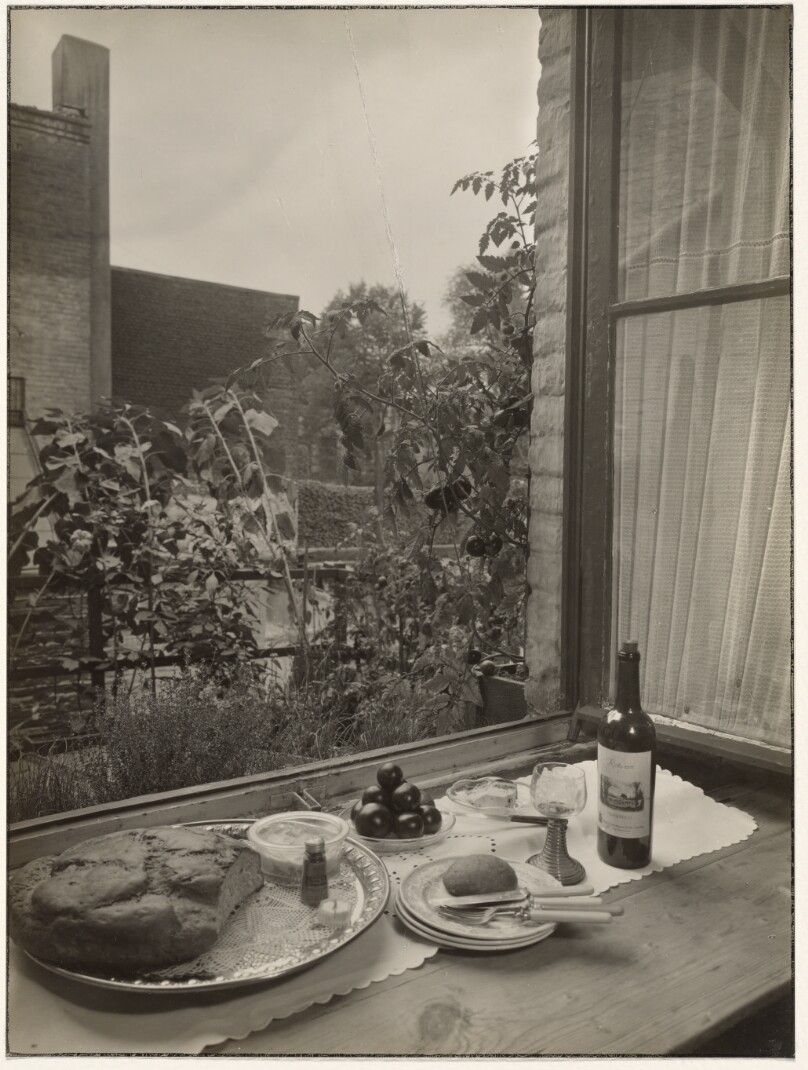 Sander's studio/home, Cologne: View from the kitchen to roof garden (Sander's Studio/Wohnung, Köln: Blick von der Küche auf Dachgarten)