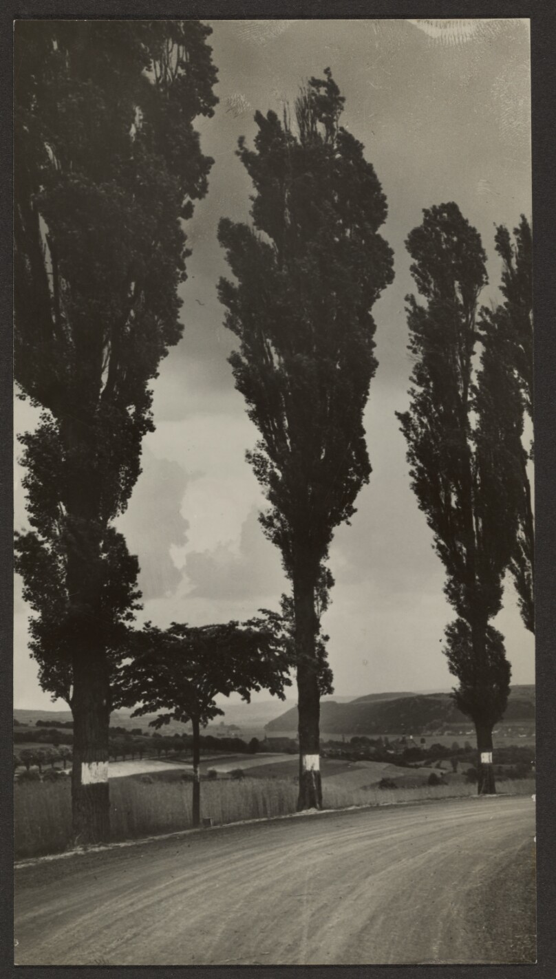 [Blies valley near Blieskastel (Bliestal bei Blieskastel)]