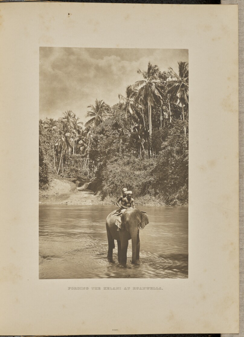 Fording the Kelani at Ruanwella