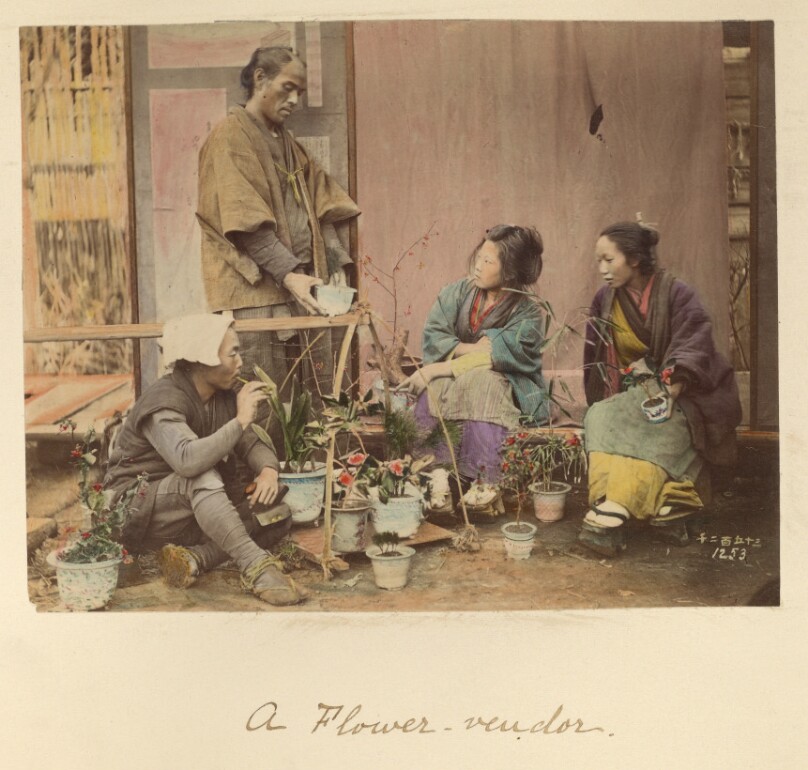 A Flower Vendor