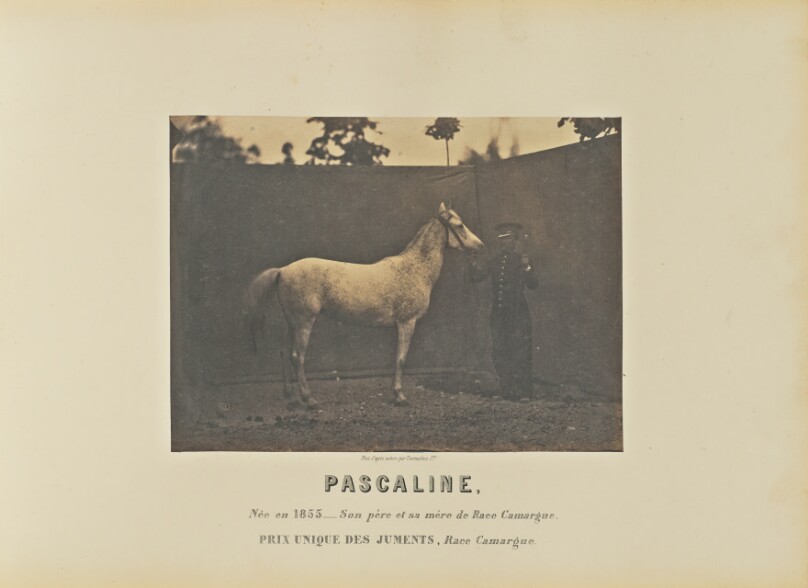 Pascaline