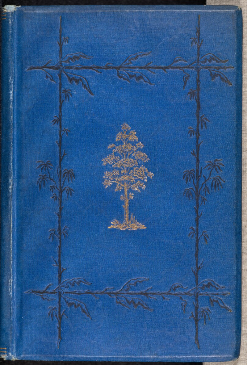 The Woods and By-Ways of New England. With Illustrations.