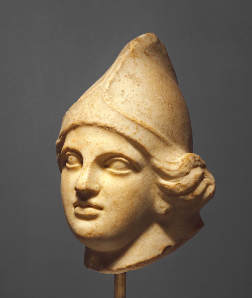Head of an Amazon