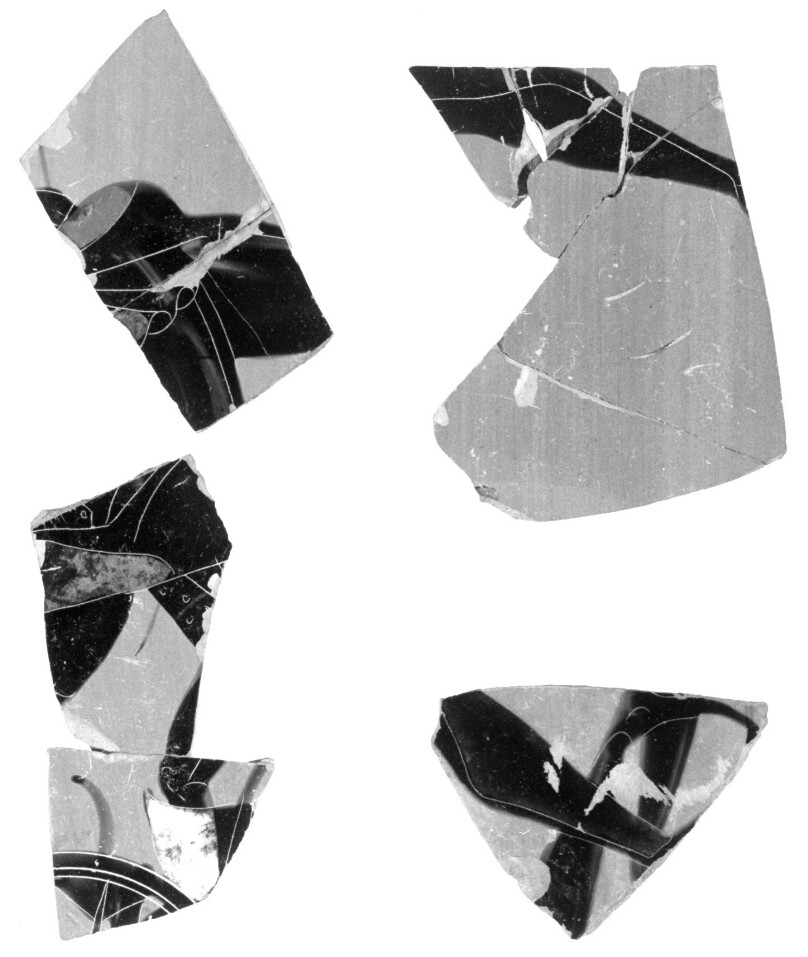 Attic Black-Figure Neck Amphora Fragment