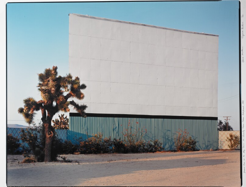 Joshua Tree at the Sky Drive-In, Twenty Nine Palms, California