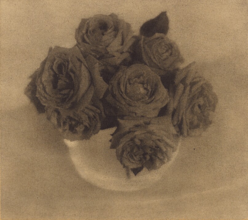 Roses in a Crystal Vase