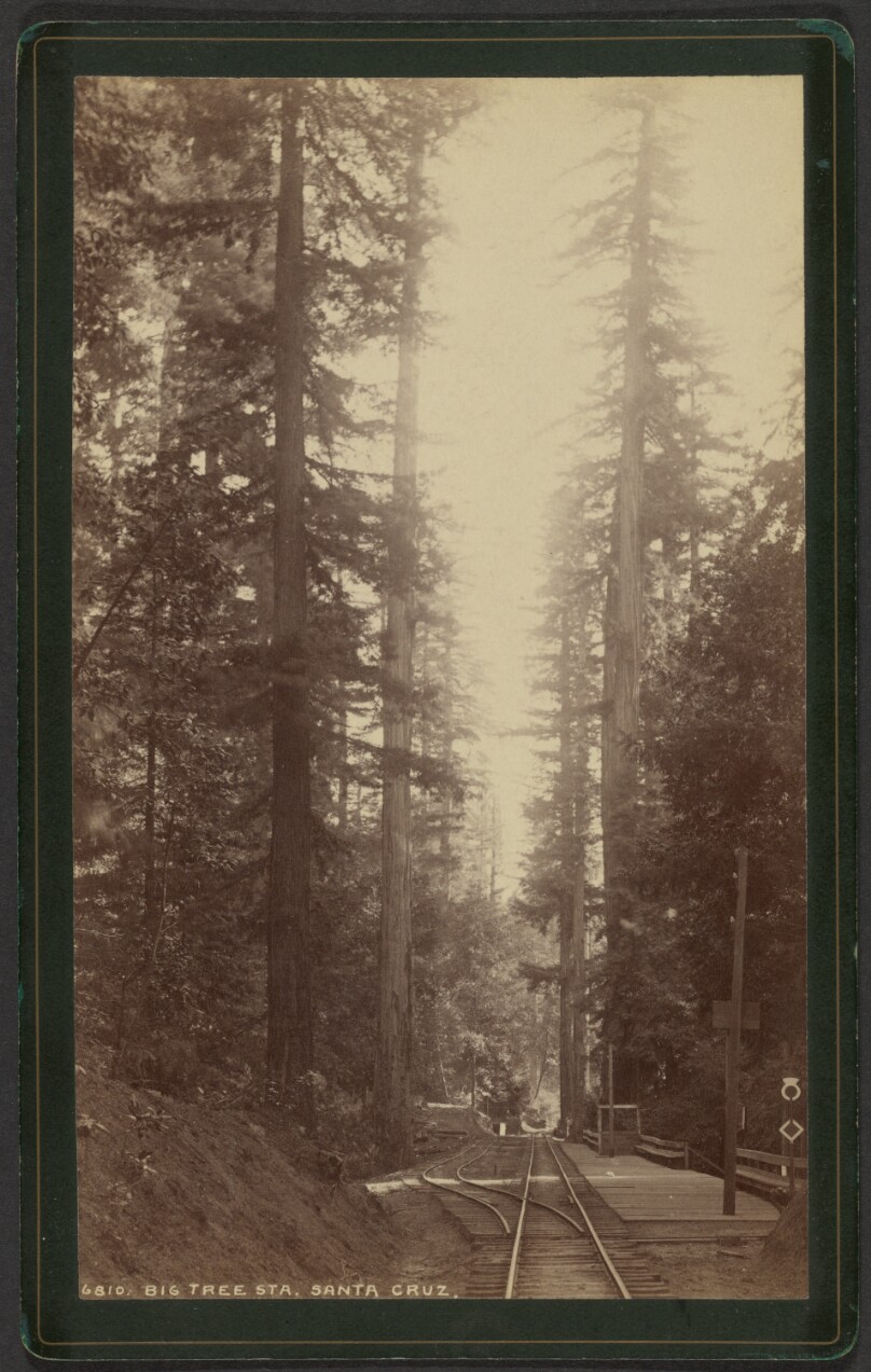 Big Tree Station, Santa Cruz