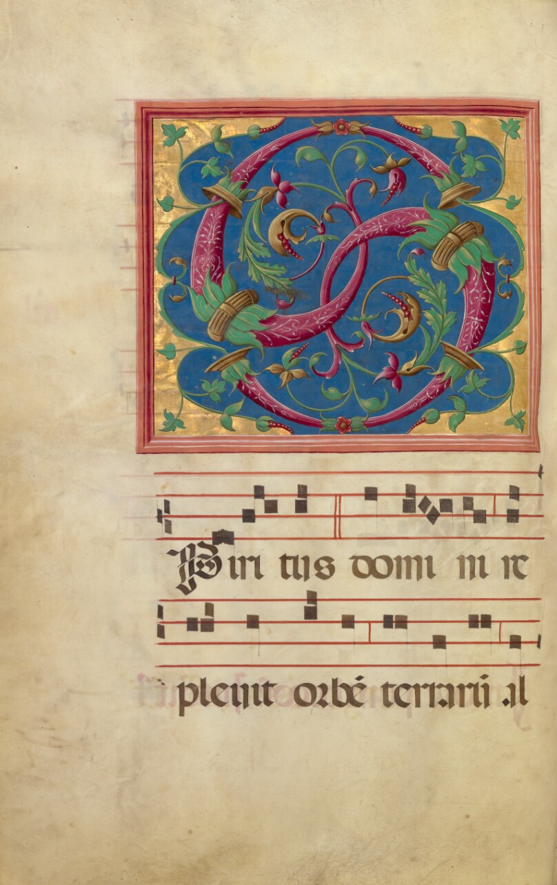 Decorated Initial S