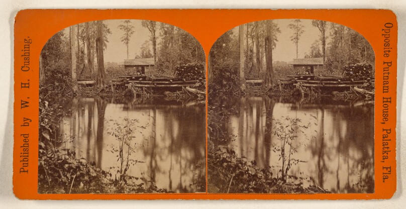 [Swamp scene with house on docks made of logs, Florida]