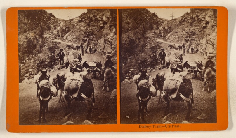 Donkey Train - Ute Pass. [Colorado]
