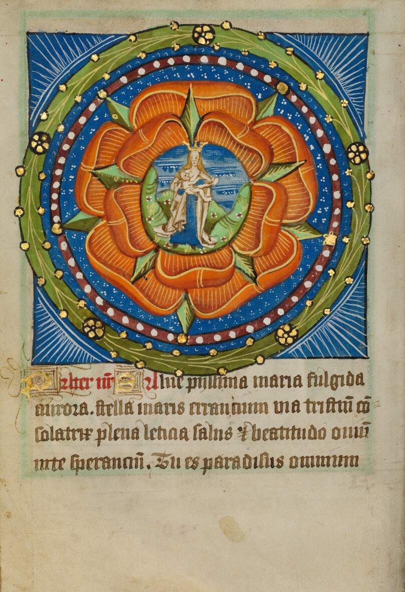 The Virgin and Child in a Red Rose