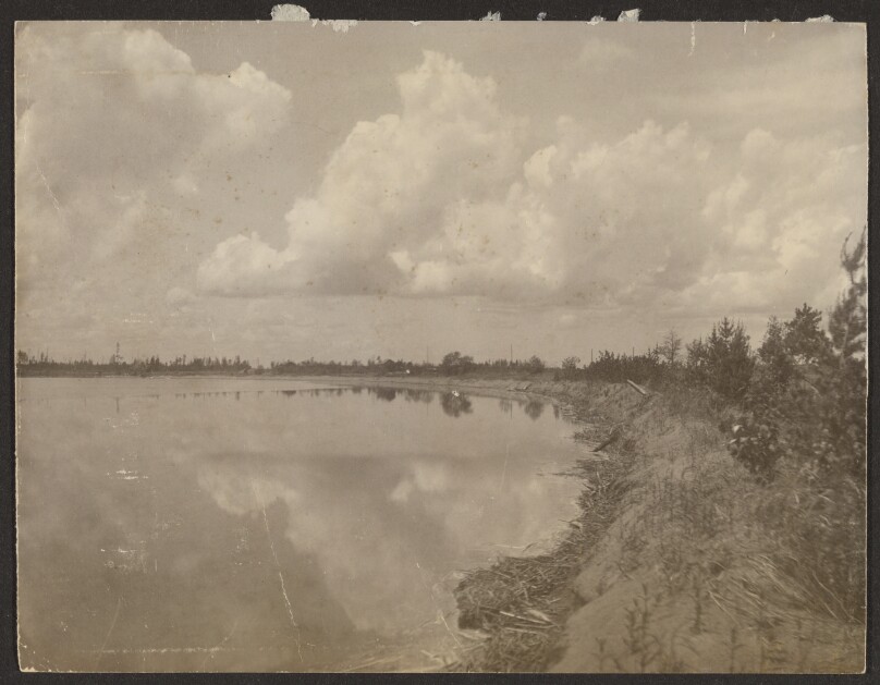 [Landscape with Pond]