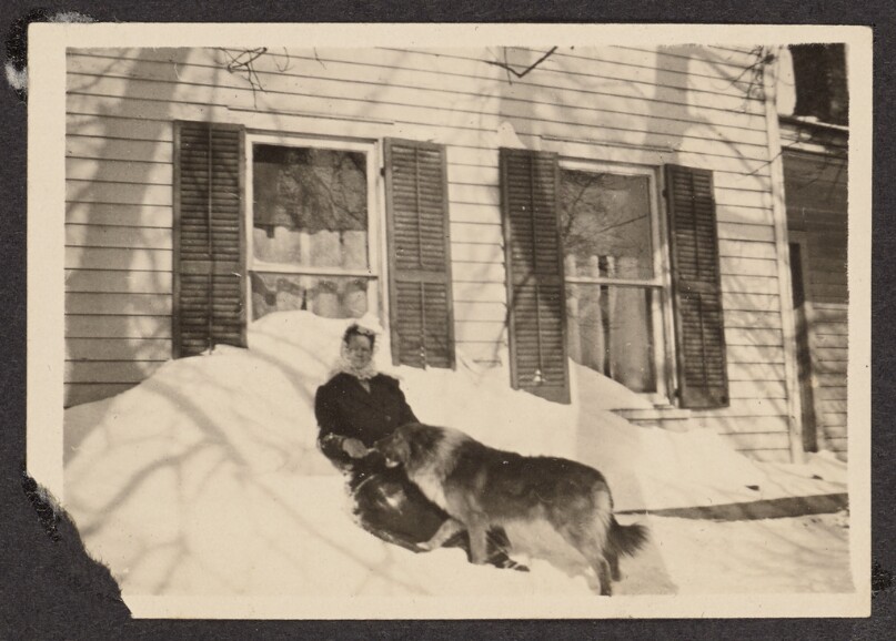 [Woman in the snow with a dog]