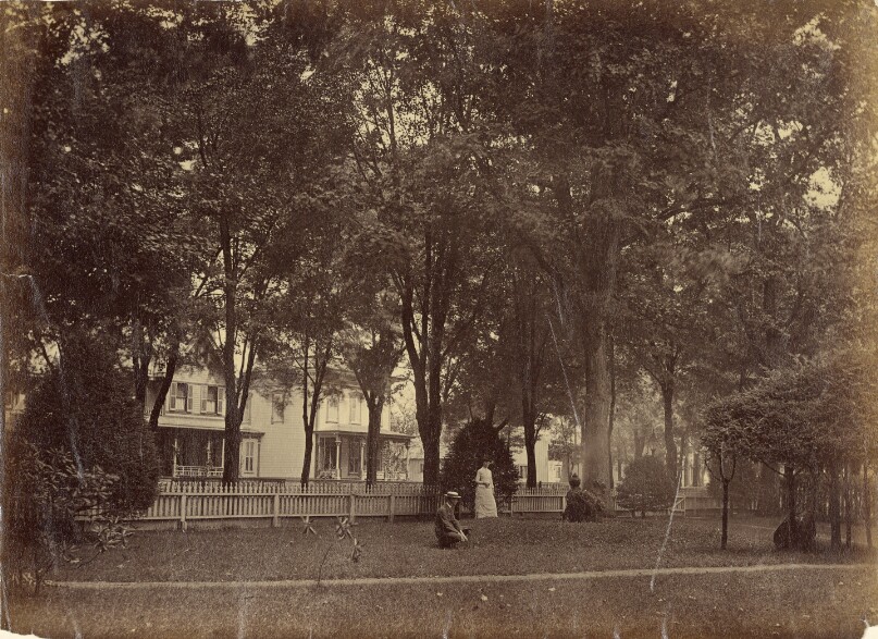 [Couple in a Park, Maple City]